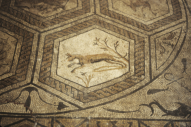 Italy, Unknown