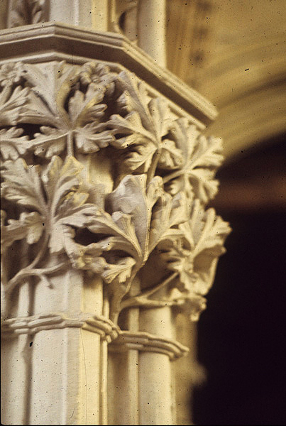 Interior, chapter house, foliate capital