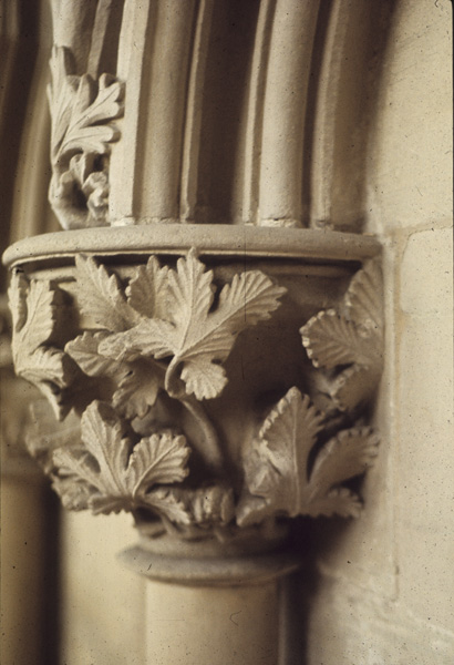 Interior, chapter house, foliate capital