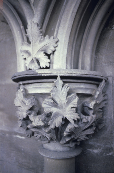 Interior, chapter house, foliate capital