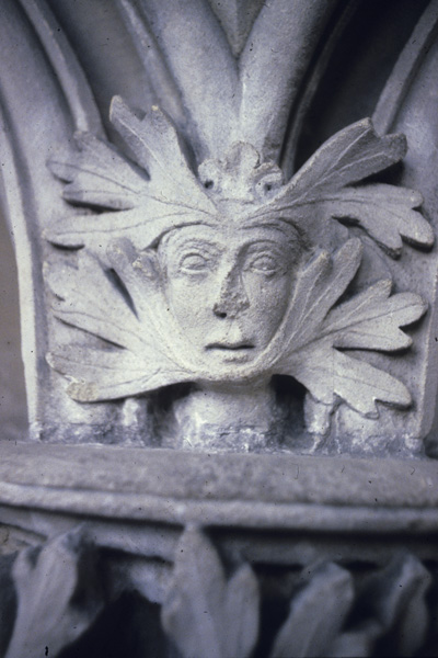 Interior, chapter house, foliate capital