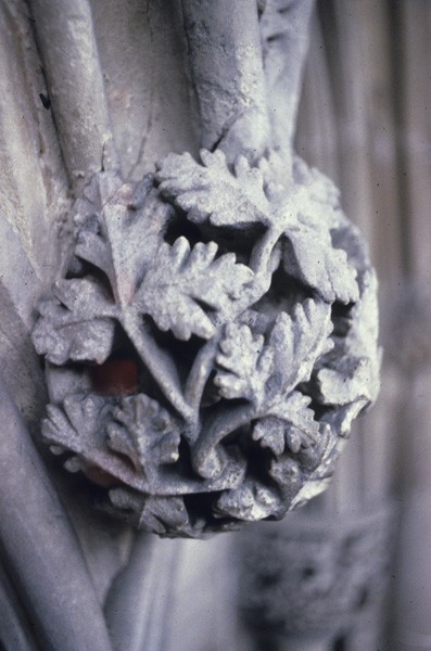 Interior, chapter house, foliate capital