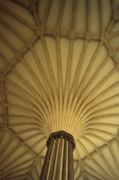 Interior, chapter house, vault