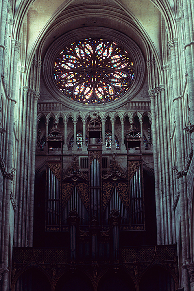 Interior, west rose, detail