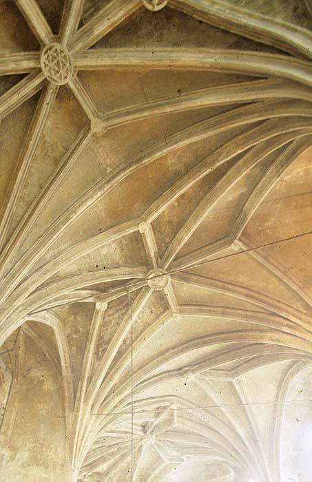 Interior, vaults, detail