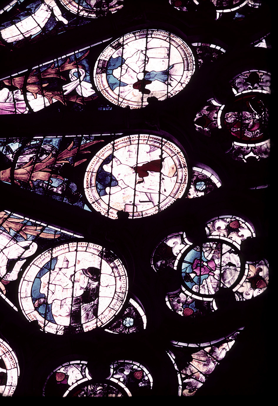 Transept, north, rose, detail