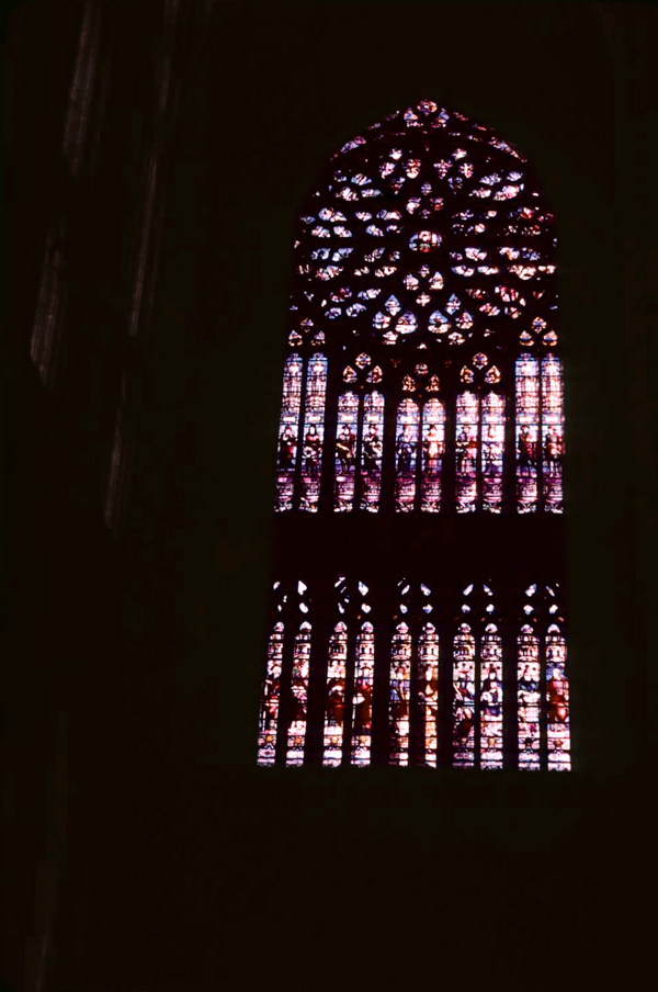 Transept, south, rose