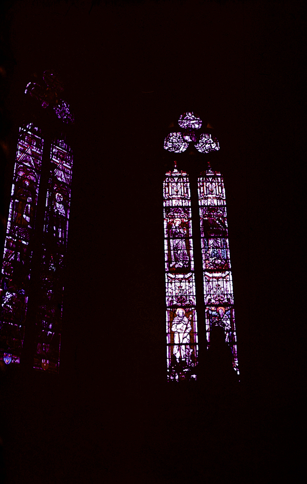 Window 5