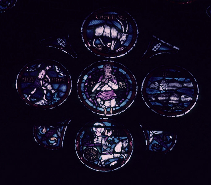 Window F, rose