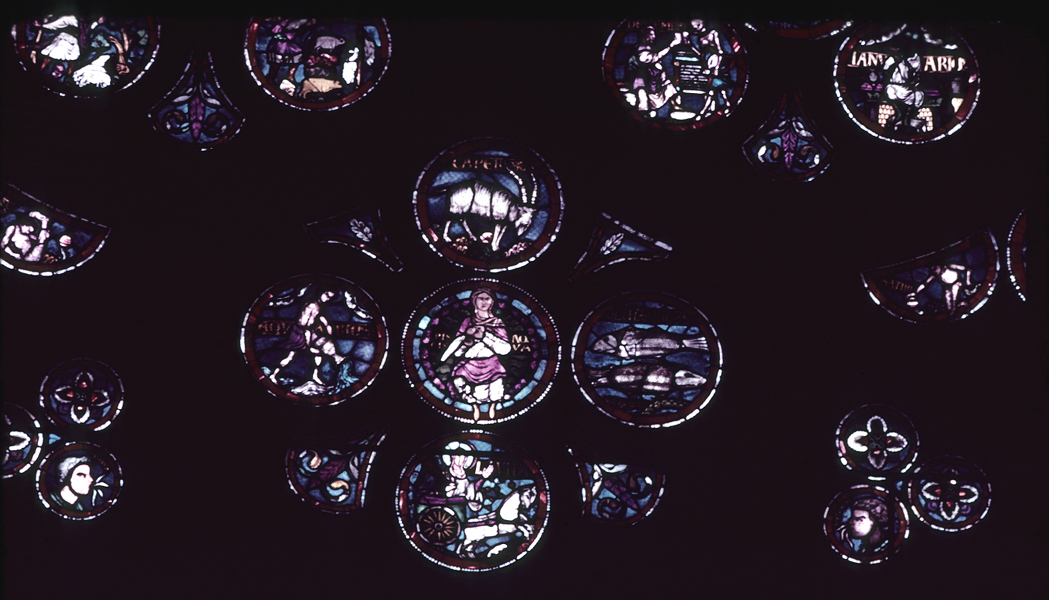 Window F, rose