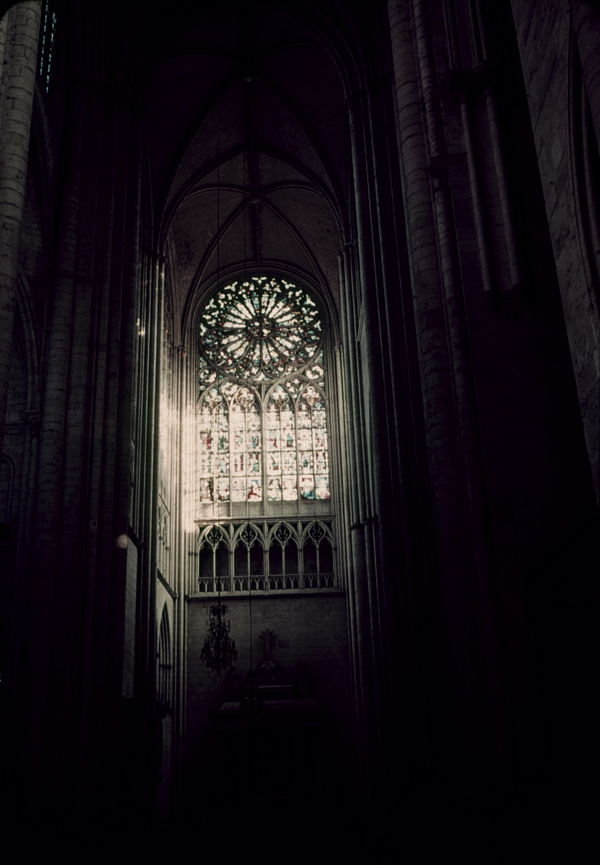 Interior south rose