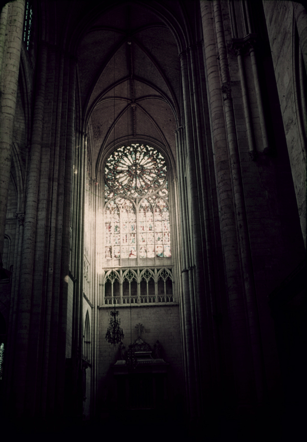 Interior south rose