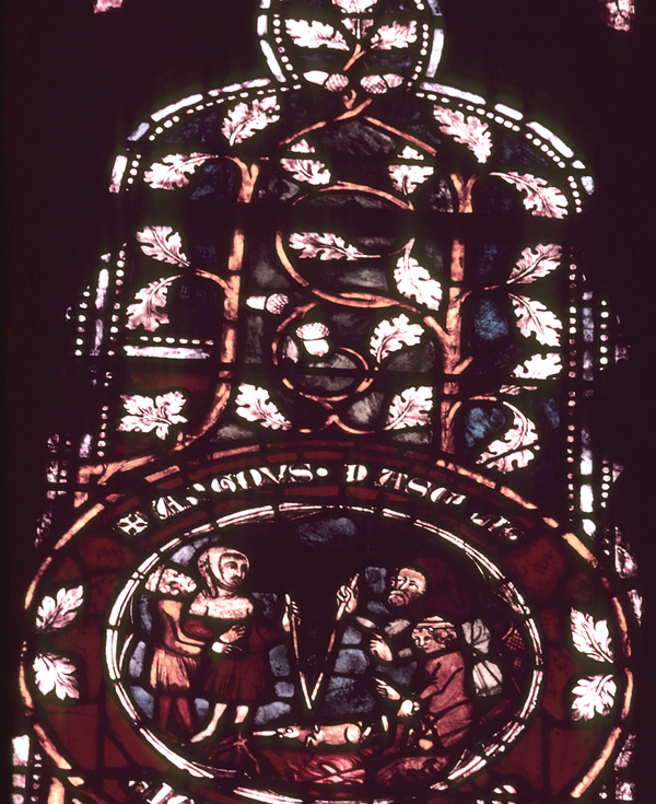 Window 6, section 12