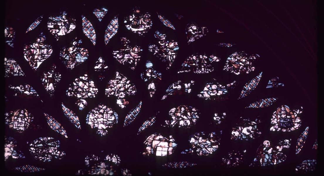 Window P, rose