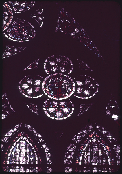 Nave, south, top, window 4, right rose
