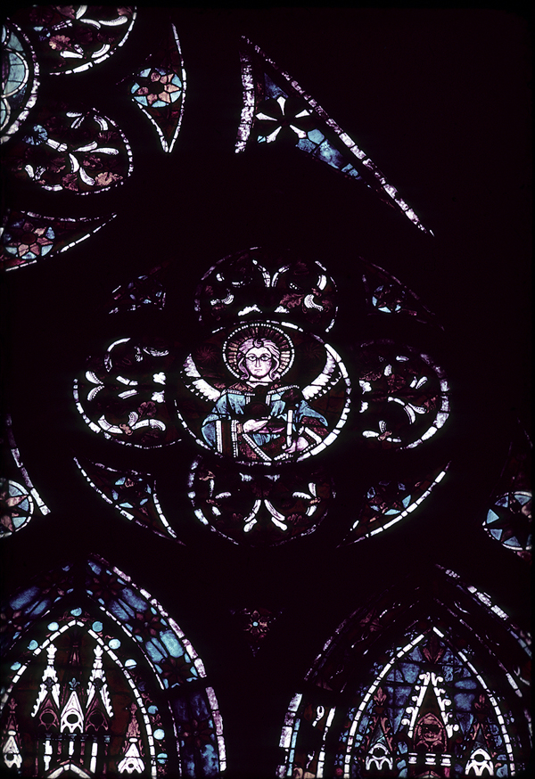 Window 7X, section G, rose