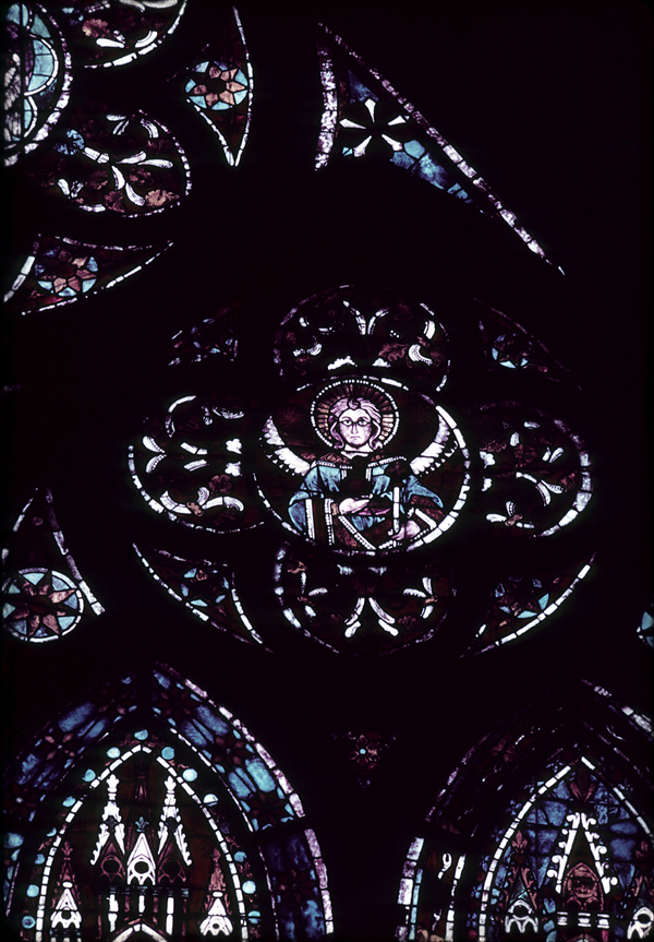 Window 7X, section F, rose