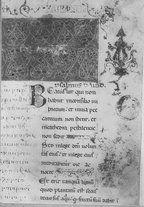 Millet No.: 1.B185.13 - 78.A.9