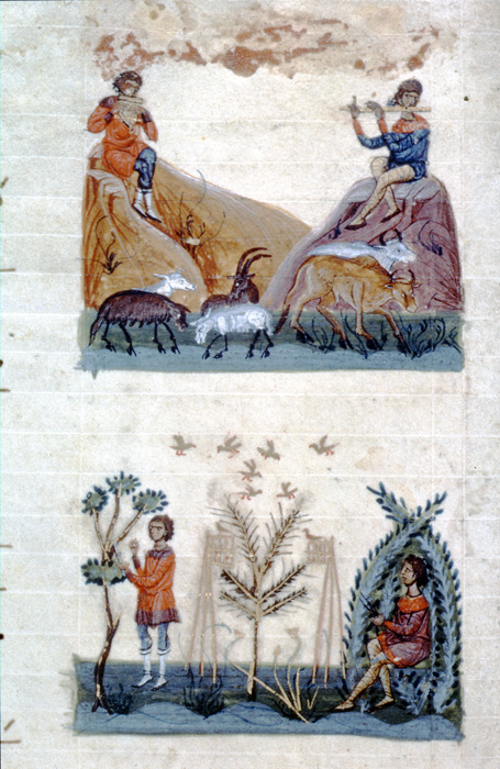 Millet No.: 1.J295.7 - Taphou 14