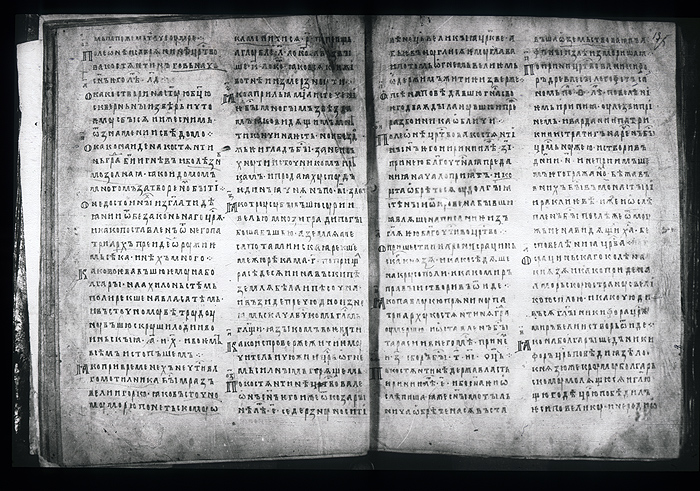 Millet No.: 1.M.414.17 - 100