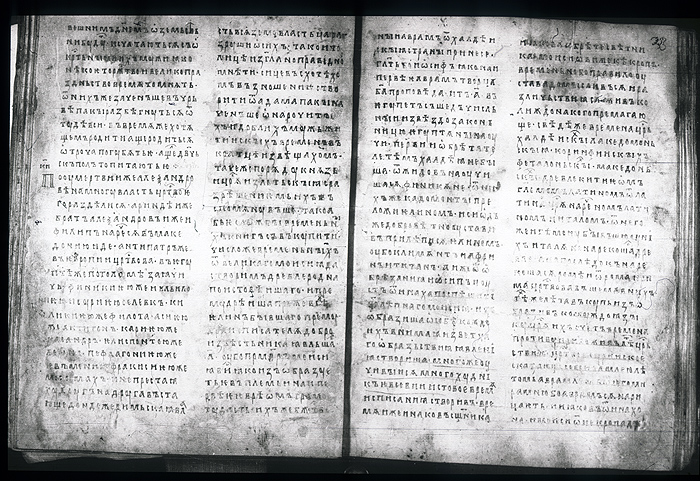 Millet No.: 1.M.415.17 - 100