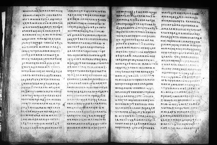 Millet No.: 1.M.416.11 - 100