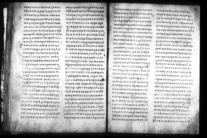 Millet No.: 1.M.416.12 - 100