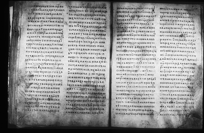 Millet No.: 1.M.417.1 - 100 