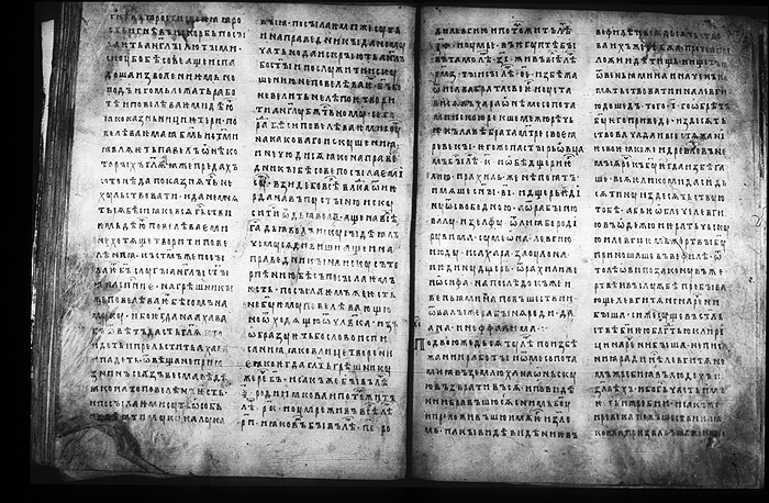 Millet No.: 1.M.417.3 - 100 