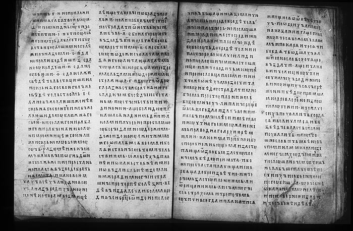 Millet No.: 1.M.417.11 - 100