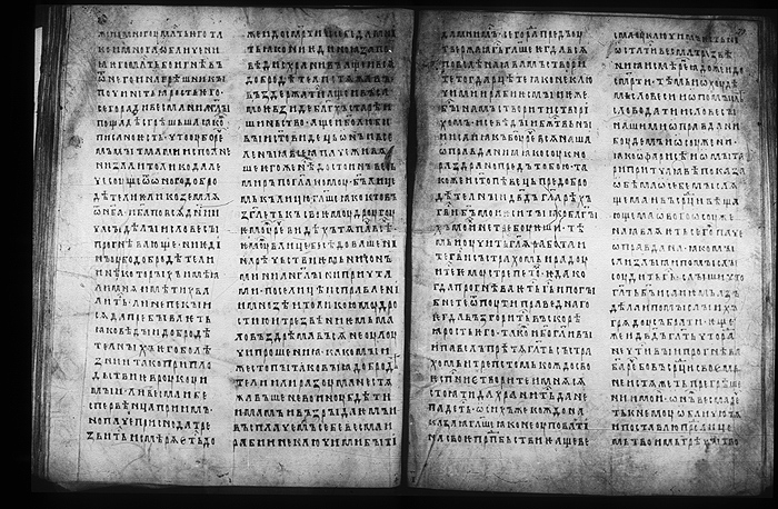 Millet No.: 1.M.417.13 - 100