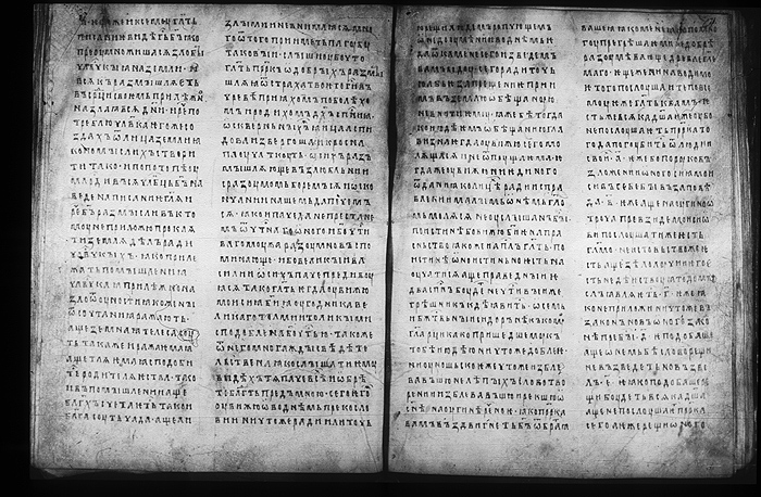 Millet No.: 1.M.417.14 - 100