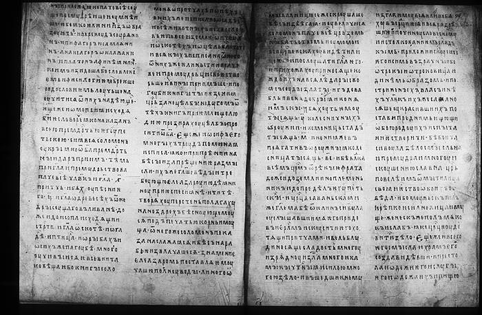 Millet No.: 1.M.418.11 - 100