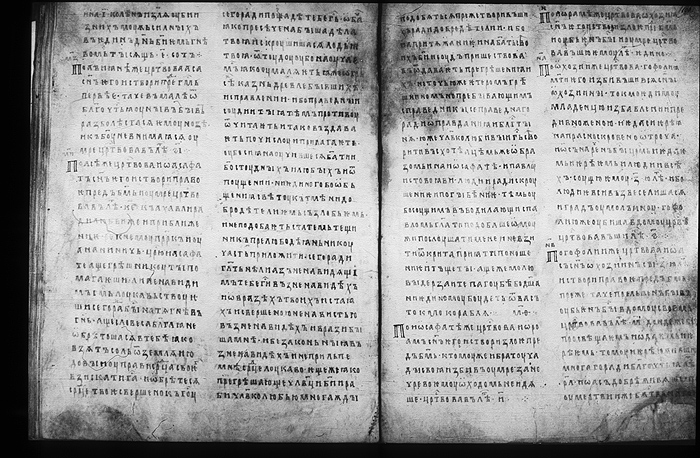 Millet No.: 1.M.418.13 - 100
