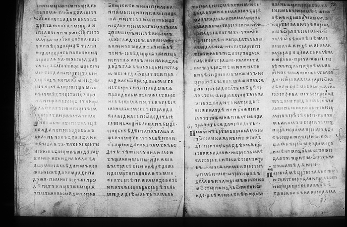 Millet No.: 1.M.418.14 - 100