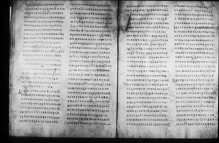 Millet No.: 1.M.418.16 - 100