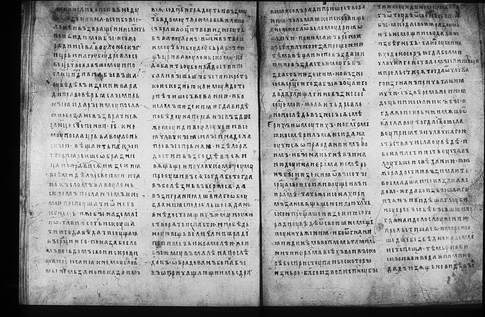 Millet No.: 1.M.418.18 - 100
