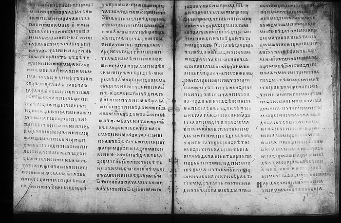 Millet No.: 1.M.418.19 - 100
