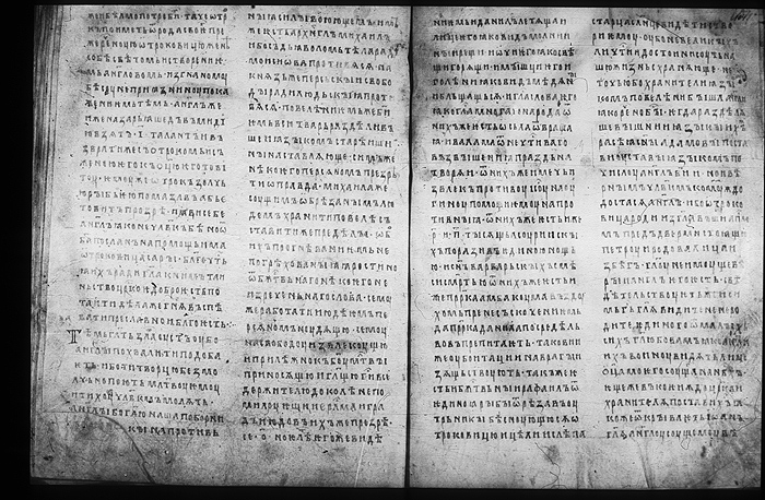 Millet No.: 1.M.419.1 - 100