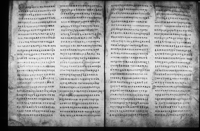 Millet No.: 1.M.419.3 - 100