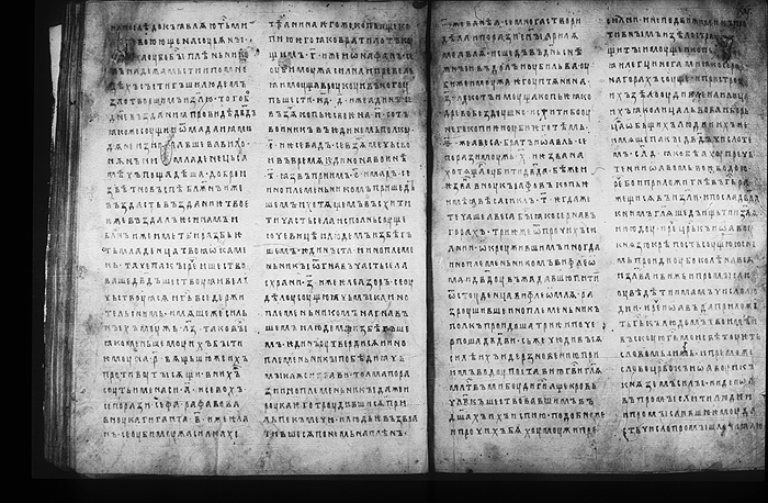 Millet No.: 1.M.419.13 - 100 