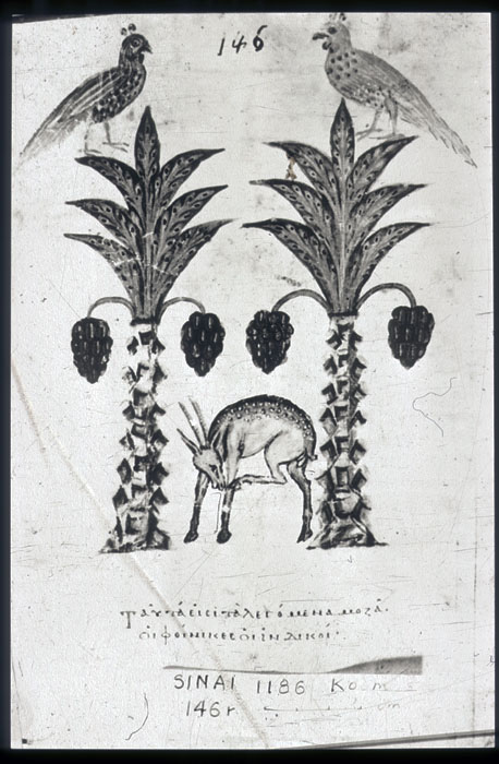 Millet No.: 1.S664.13 - 1186 