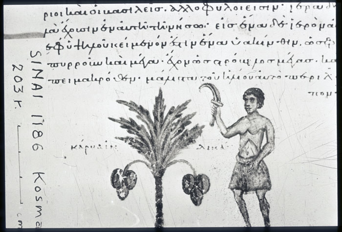 Millet No.: 1.S664.19 - 1186