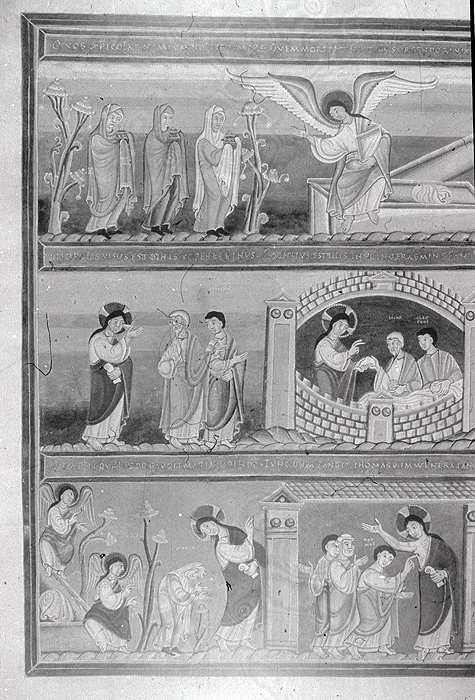 Millet No.: 1.N441.15 - 156142
