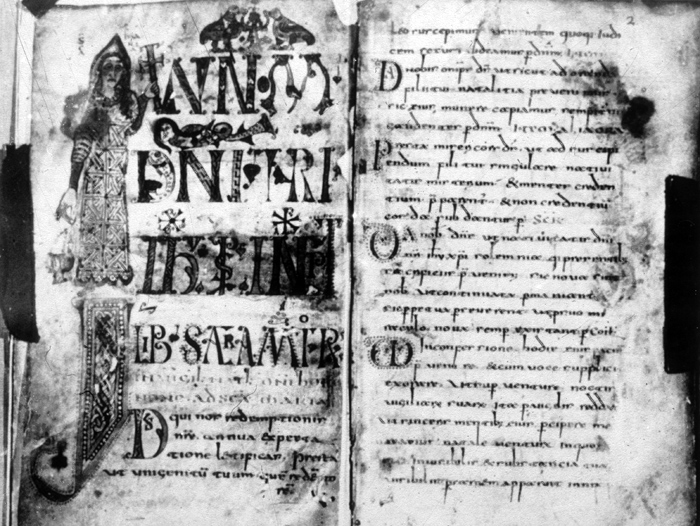 Millet No.: 1.P602.2 - lat. 12048