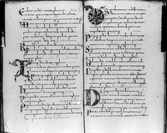 Millet No.: 1.P602.3 - lat. 12048 