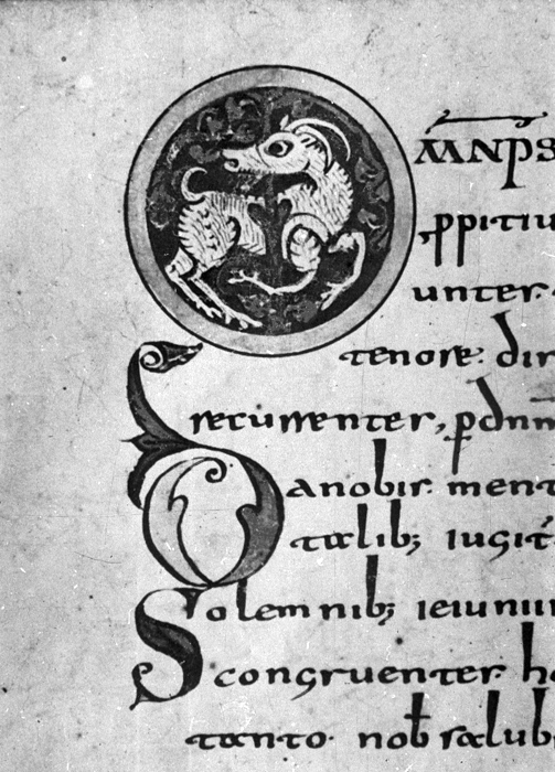 Millet No.: 1.P602.13 - lat. 12048 