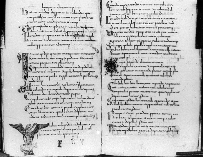 Millet No.: 1.P602.17 - lat. 12048 