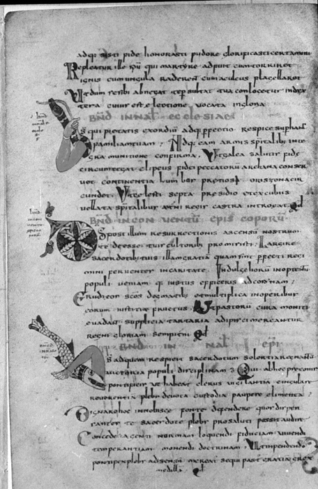 Millet No.: 1.P602.18 - lat. 12048 