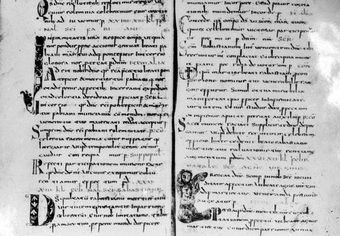 Millet No.: 1.P602.19 - lat. 12048 